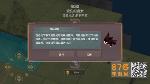 魔女之泉2神秘猫咪一次能加多少血（魔女之泉4猫神官怎么获得）