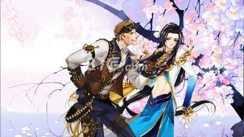 王与异界骑士档案