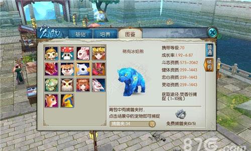 诛仙手游稀有宠物和普通宠物有什么区别（诛仙手游宠物选择）
