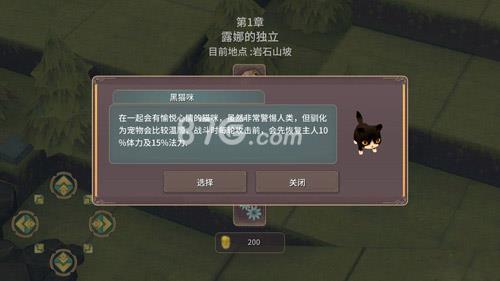 魔女之泉2黑猫怎么抓（魔女之泉4黑猫）