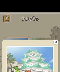 青蛙旅行照片保存