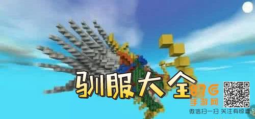 迷你世界驯服大全
