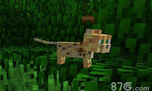 我的世界豹猫在哪里（我的世界豹猫在哪里有）