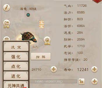 问道手游元神共通是什么（问道手游宠物共通是什么意思）