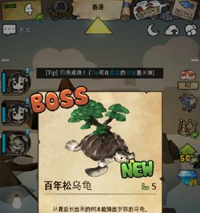 漂流少女百年松乌龟