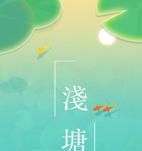 浅塘