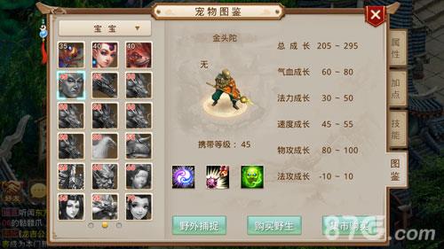 问道手游金头陀带什么天书（问道手游金头陀）