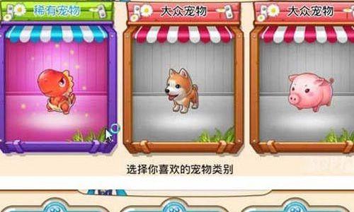 梦想星城宠物怎么领养（想领养宠物在哪里）