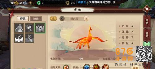 寻仙手游天君符咒师侍宠